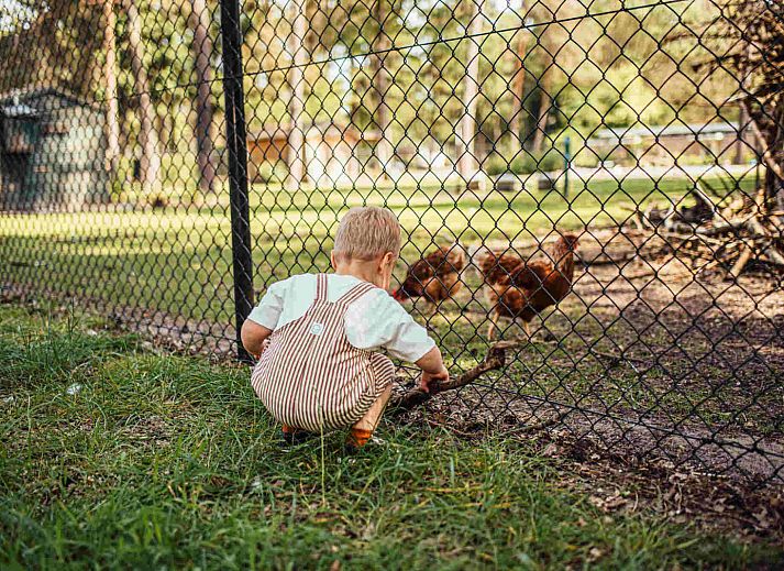 Eurocamping Vessem BV