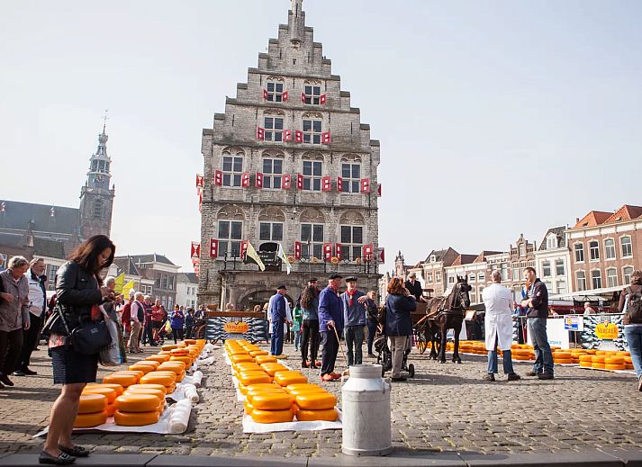 De Reeuwijkse Plassen