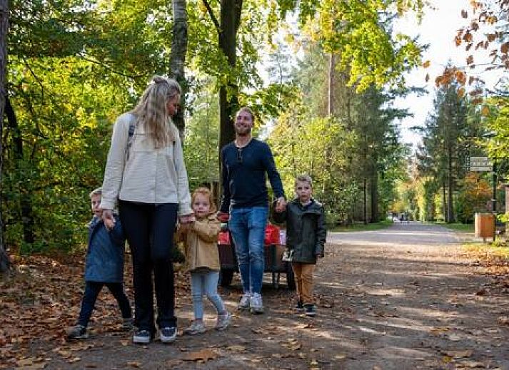 Recreatiepark de Paalberg