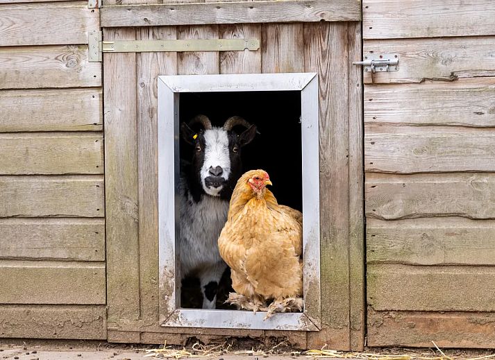 De Veluwse Hoevegaerde
