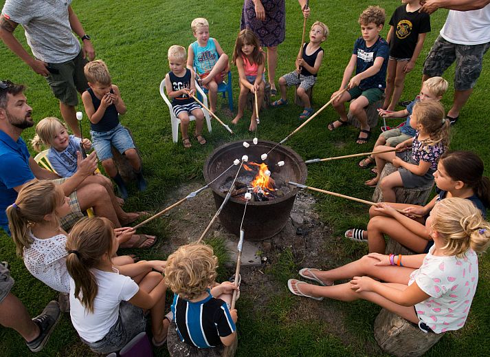 FarmCamps Oranjepolder
