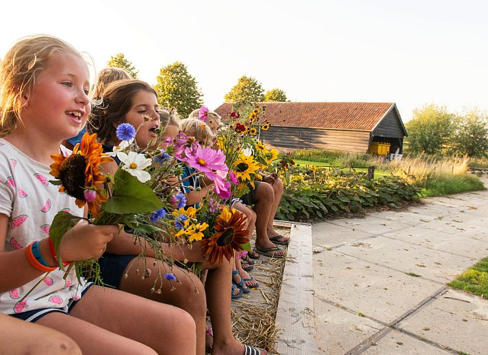 FarmCamps Oranjepolder