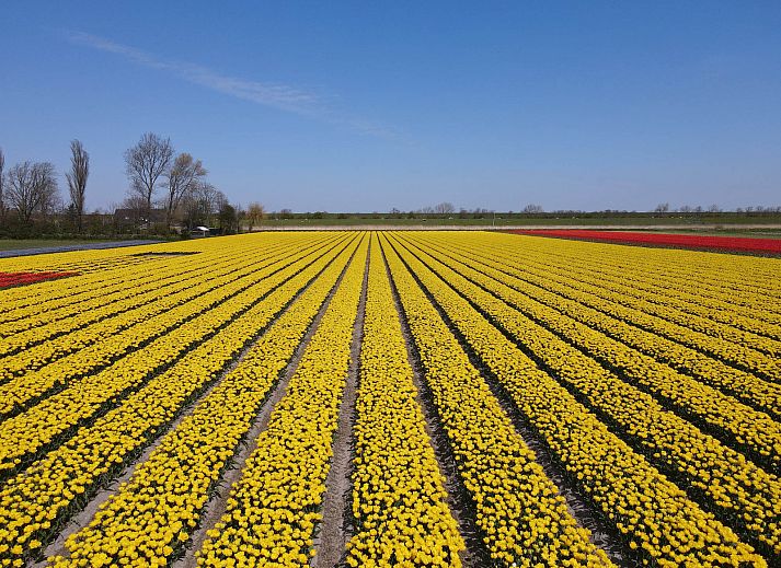 Camping de Tulpenweide