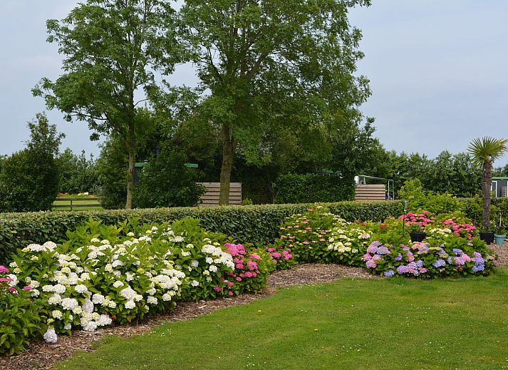 Camping de Tulpenweide