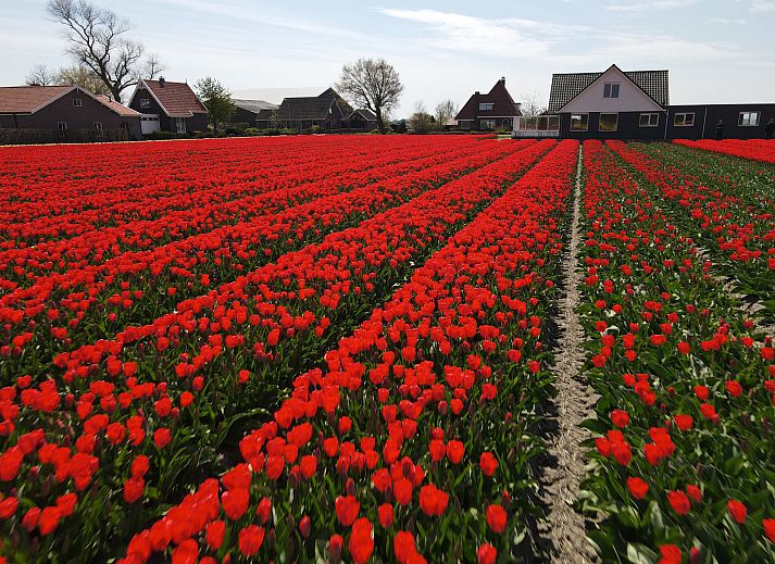 Camping de Tulpenweide