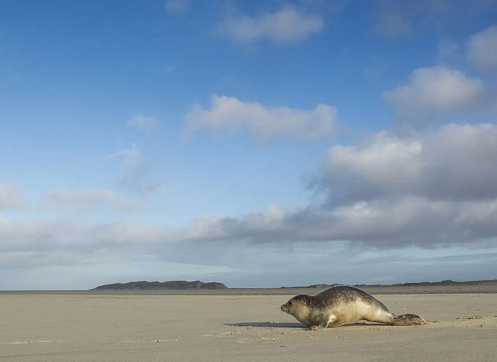 Landal Sluftervallei