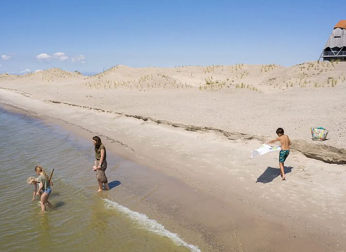 Marker Wadden