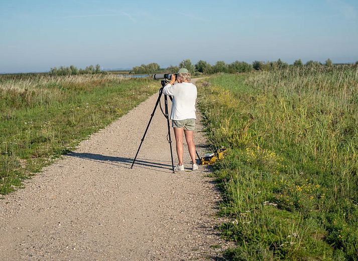 Marker Wadden