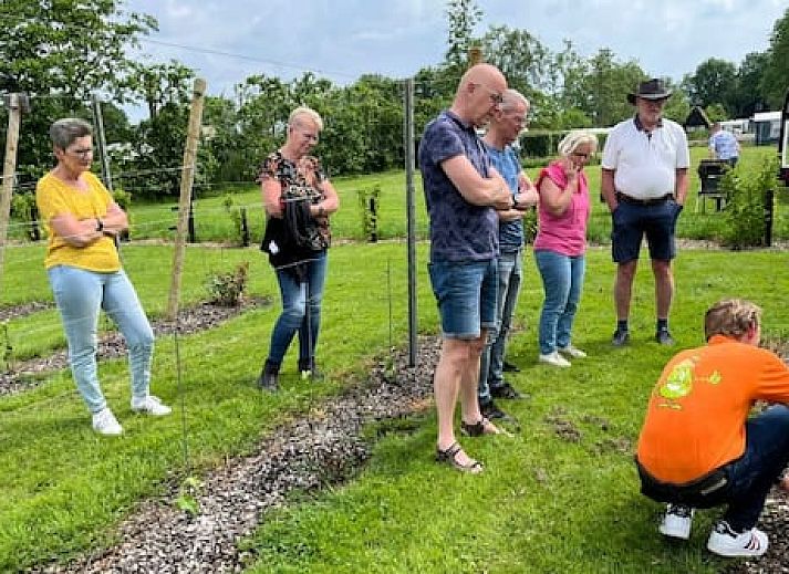 Vakantiepark De Toffe Peer