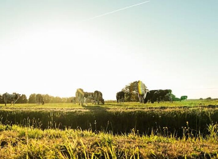 Vakantiepark De Toffe Peer