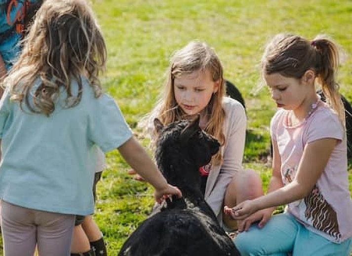 Vakantiepark De Toffe Peer