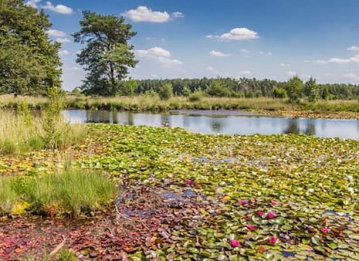 Vakantiepark De Toffe Peer