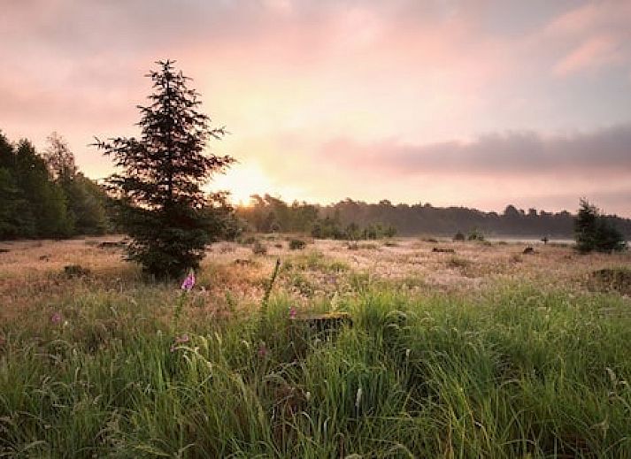 Vakantiepark De Toffe Peer