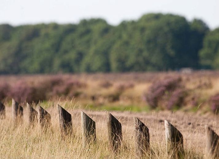 Recreatiepark de Wielerbaan