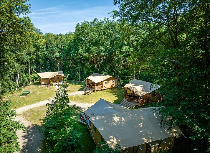 Gooise Heide