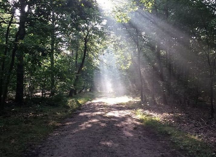 Recreatiepark De Tien Heugten
