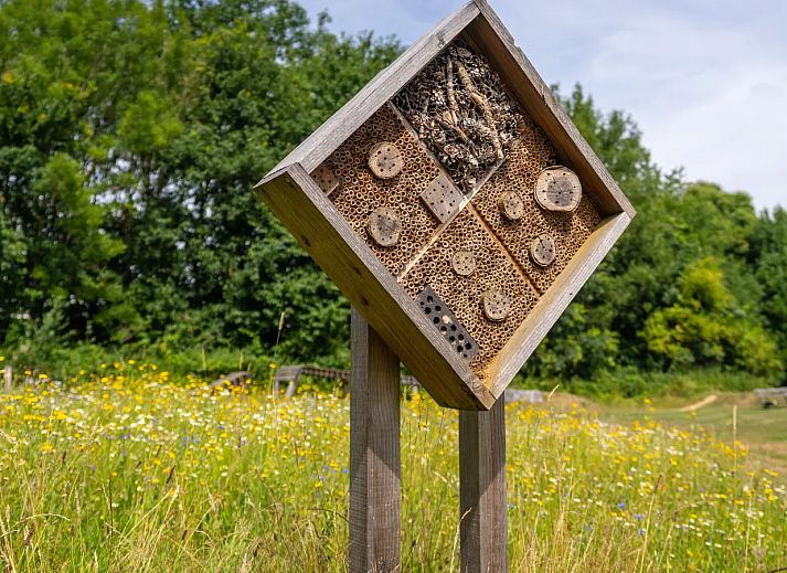 Landal Kasteeldomein De Cauberg