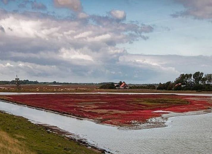 Aparthotel Zoutelande