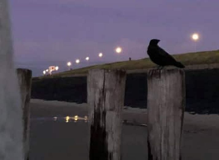 Aparthotel Zoutelande