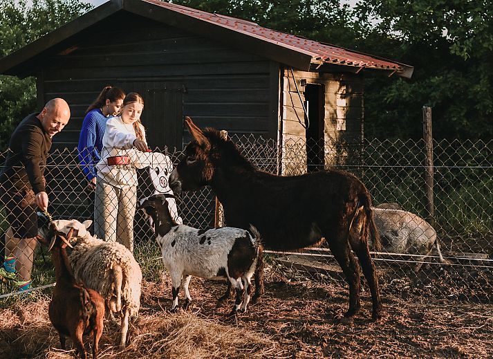 BoerenBed De Appelsche