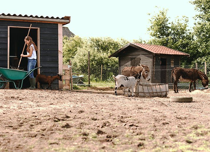 BoerenBed De Appelsche