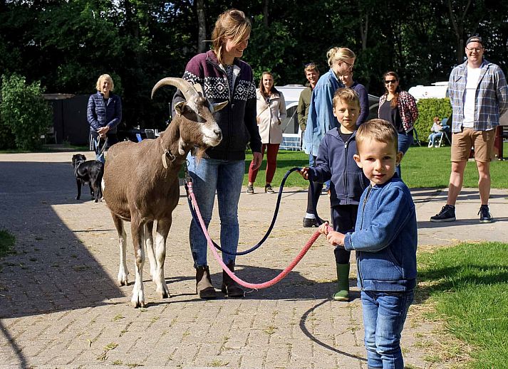 Boerderijcamping de Hinde