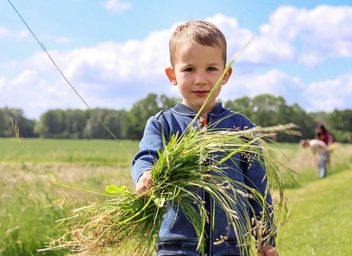 Boerderijcamping de Hinde