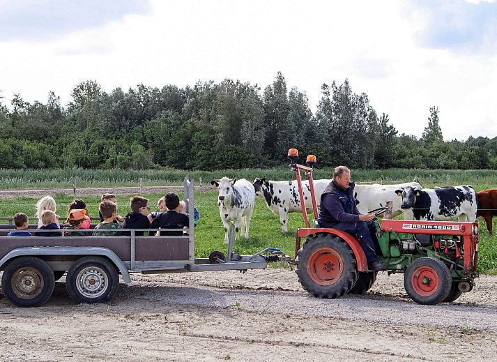 Boerderijcamping de Hinde