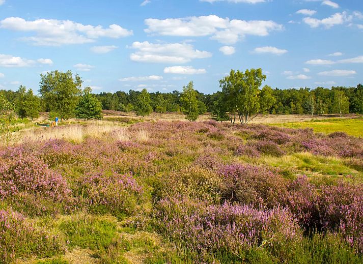 Landal De Lommerbergen