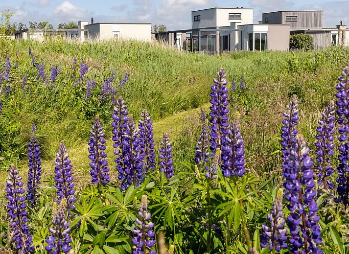 Vakantiepark Callassande