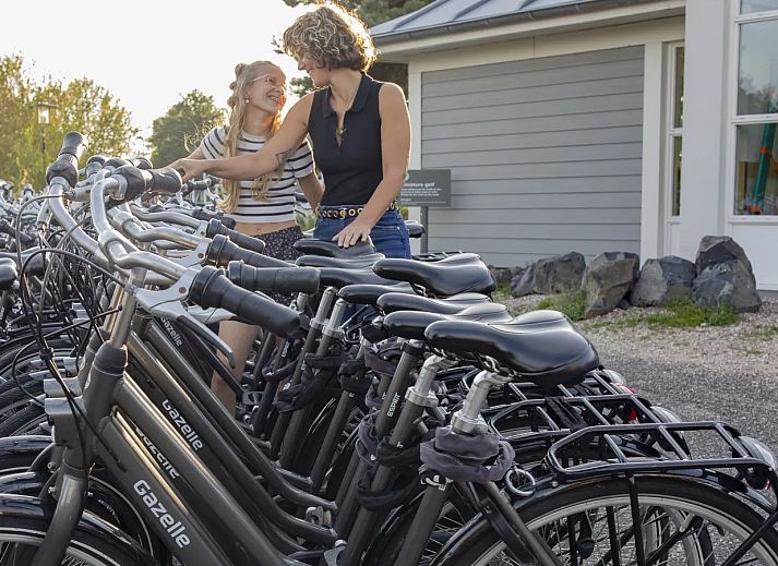Noordzee R�sidence De Banjaard
