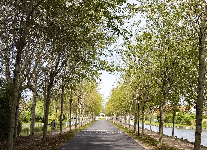 Noordzee R�sidence De Banjaard