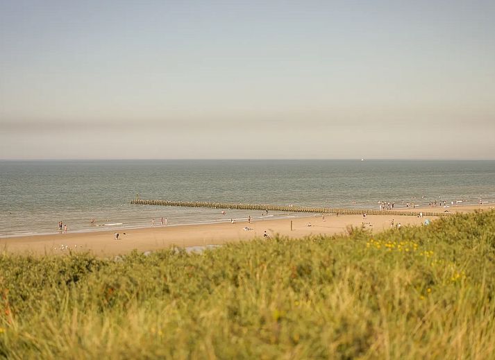 Noordzee R�sidence De Banjaard