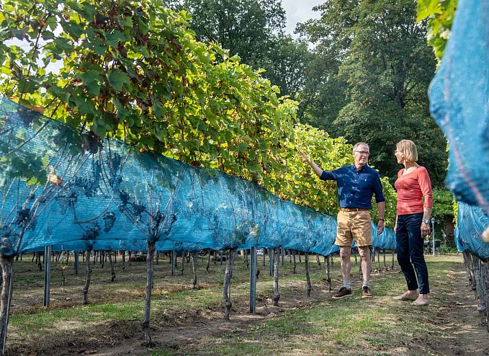 Landal De Vlinderhoeve