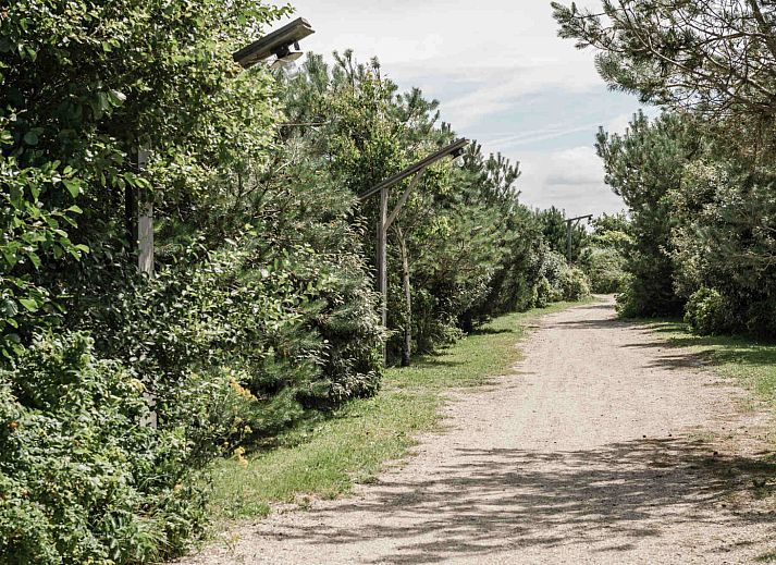 Duynpark het Zwanenwater