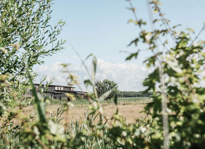 Duynpark het Zwanenwater