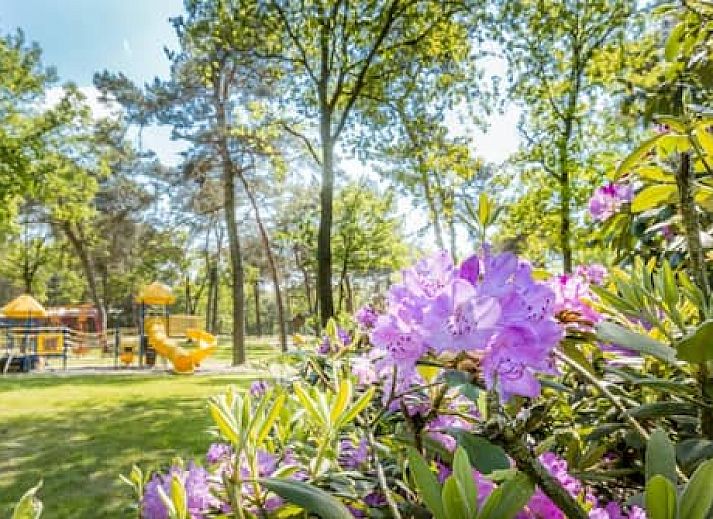 Vakantiepark De Bergen