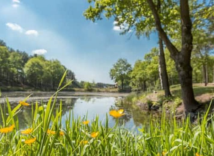 Vakantiepark De Bergen