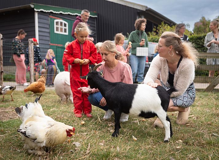 FarmCamps Mariekerke