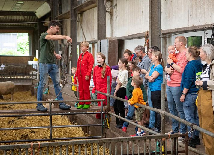 FarmCamps Mariekerke