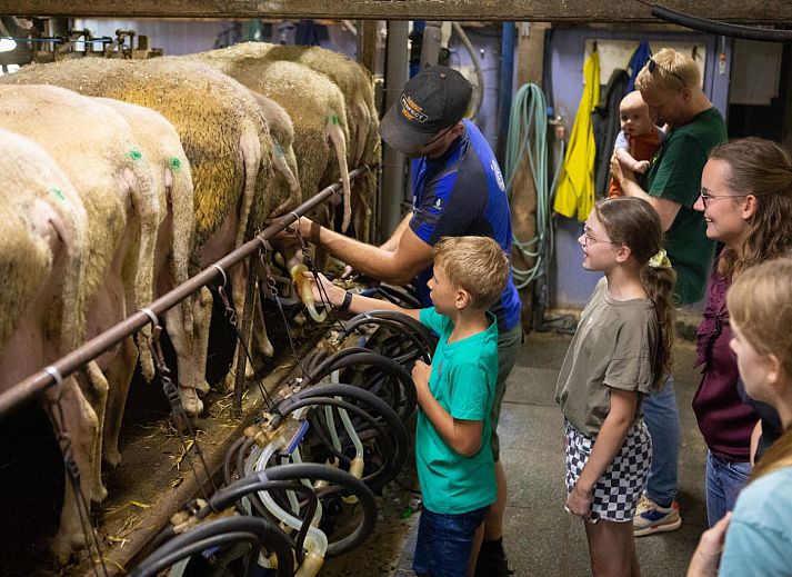 FarmCamps Mariekerke