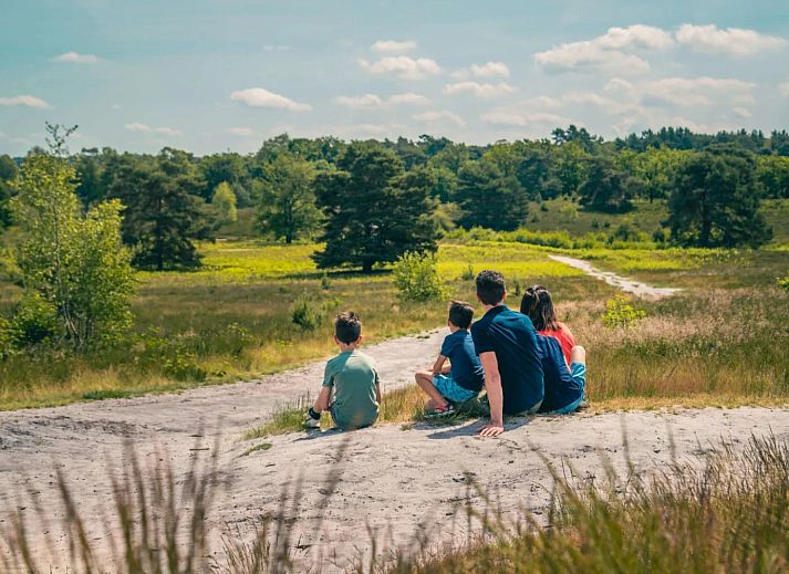Brunssummerheide