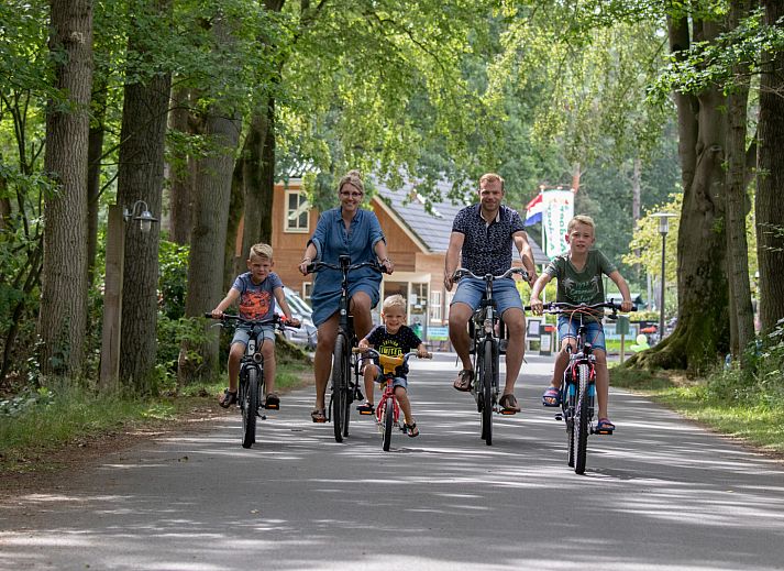 Camping de Noetselerberg