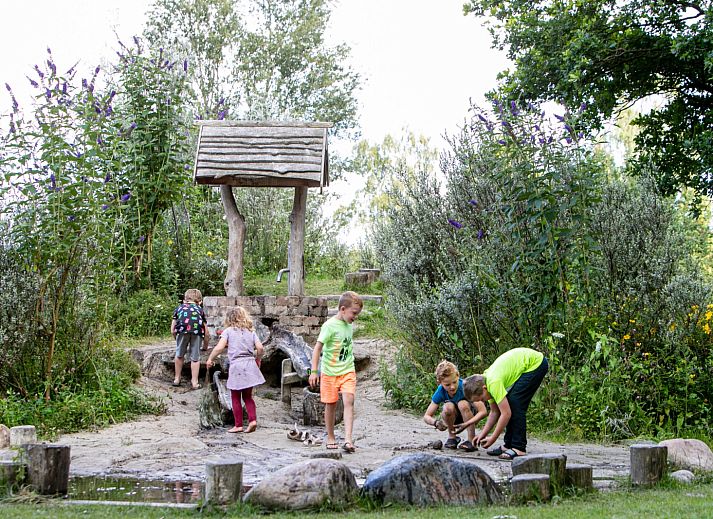 Vakantiepark Witterzomer