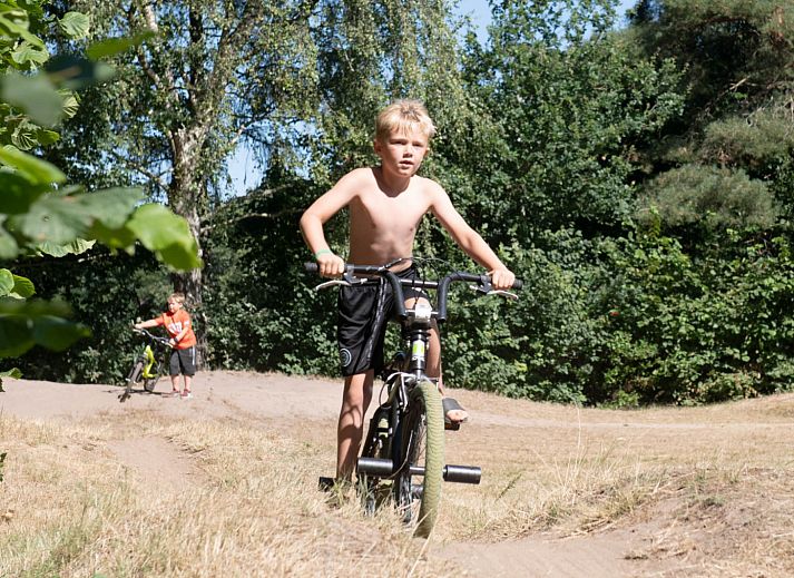 Vakantiepark Witterzomer