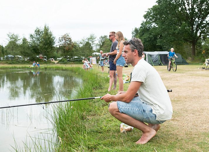 Vakantiepark Witterzomer