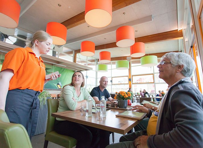 Vakantiepark Witterzomer