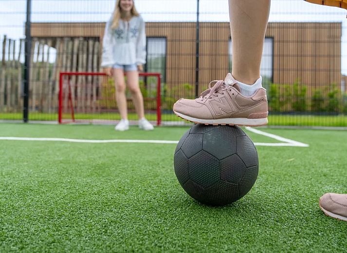 Landal De Wedderplassen