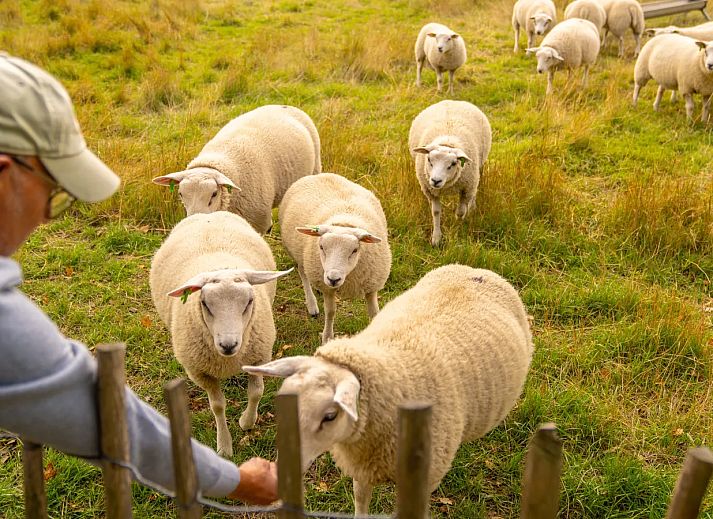 Beach Resort Brouwersdam