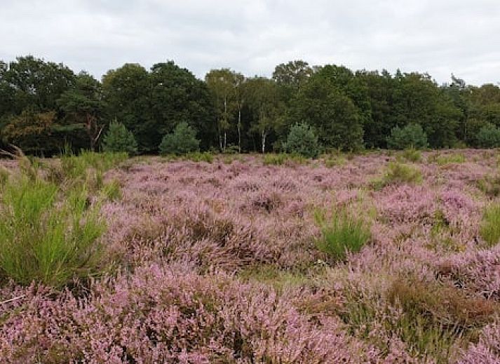 Buitenplaats Beekhuizen